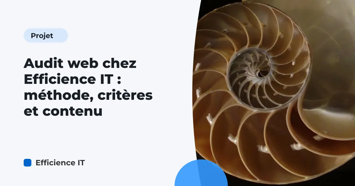 Audit web chez Efficience IT : méthode, critères et contenu