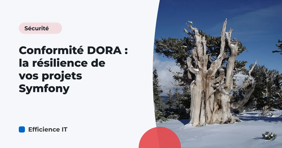 Conformité DORA : la résilience de vos projets Symfony