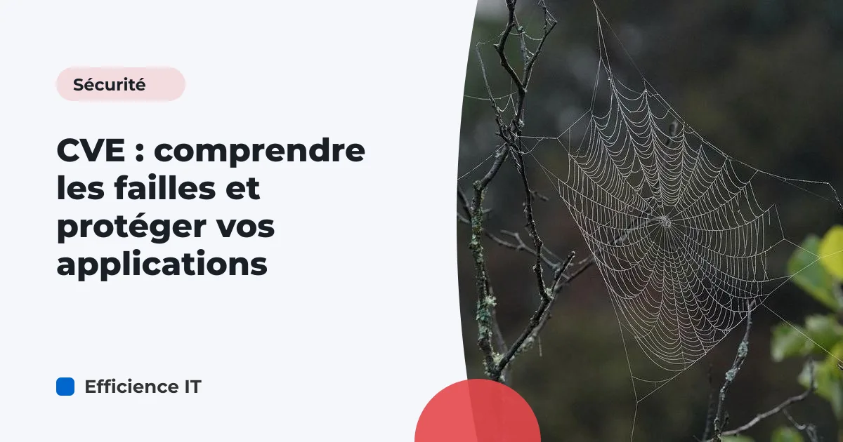CVE : comprendre les failles et protéger vos applications