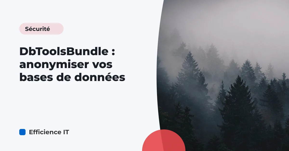 DbToolsBundle : anonymiser vos bases de données
