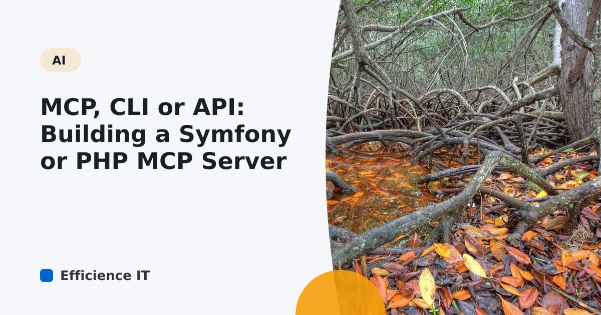 MCP, CLI or API: Building a Symfony or PHP MCP Server