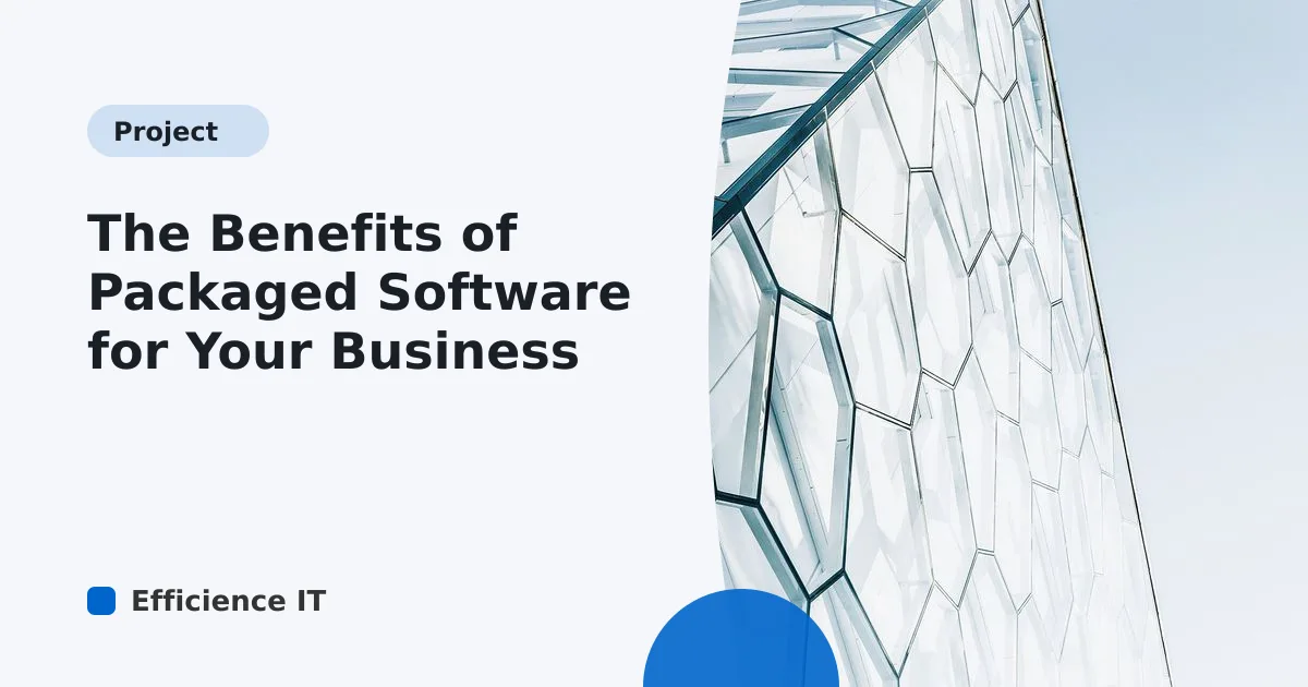 The Benefits of Packaged Software for Your Business
