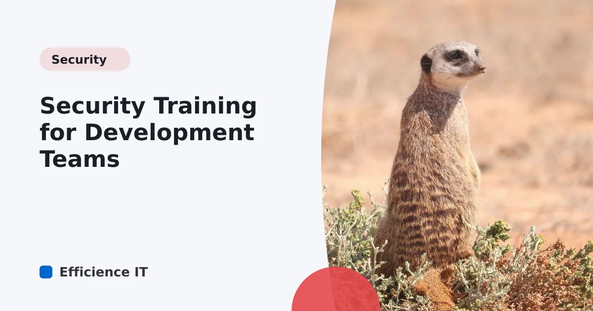 Security Training for Development Teams