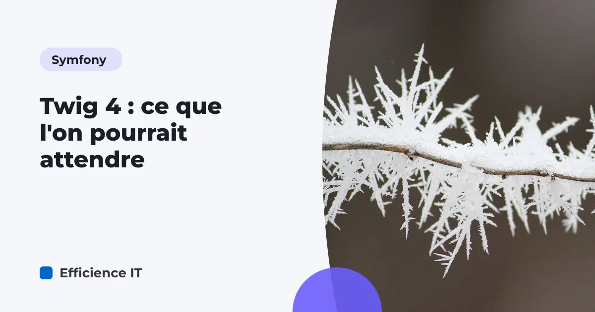 Twig 4 : ce que l'on pourrait attendre
