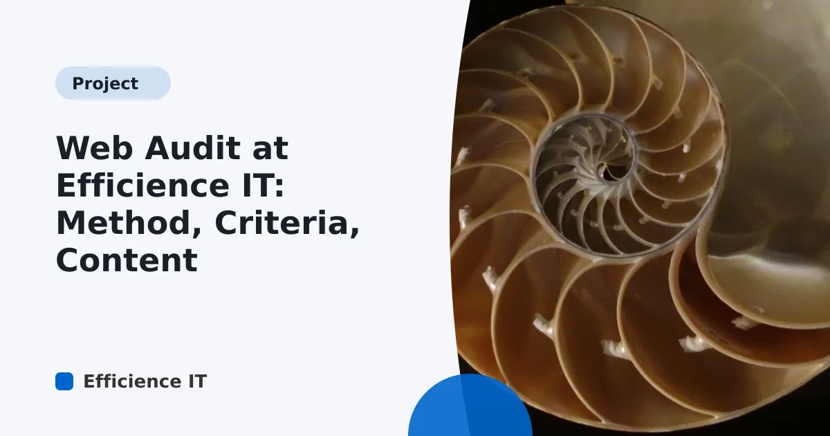 Web Audit at Efficience IT: Method, Criteria, Content