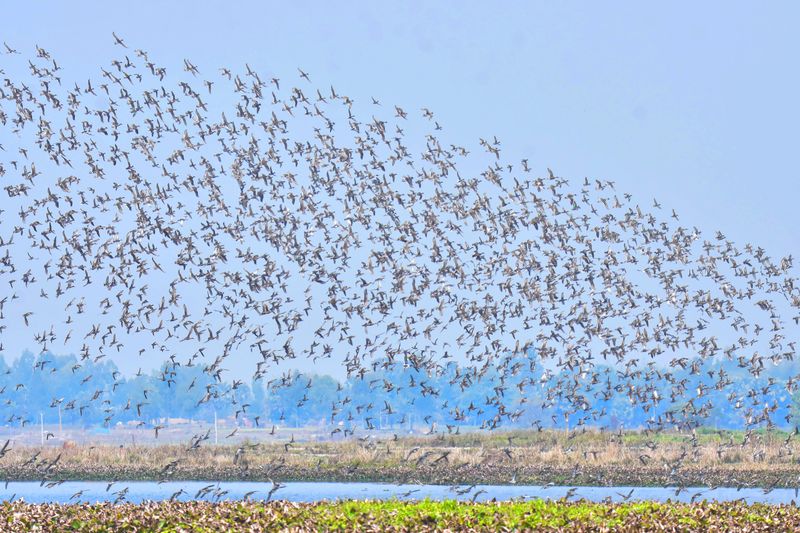 Rector et ses pouvoirs : maîtrisez l'évolution de votre code Symfony
